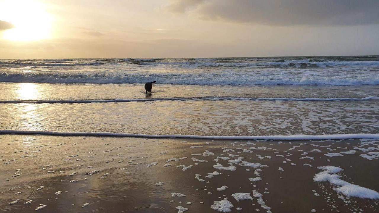 Luxe Zomerwoning Met Omheinde Tuin Voor Hond En Kinderen Dirkshorn Eksteriør bilde